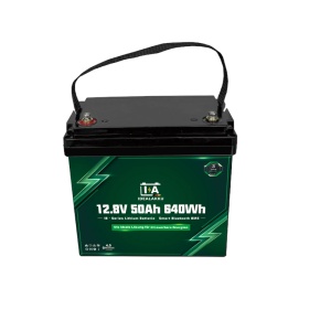 Baterie litiu Ideal Battery IB SERIES LiFePO4 12V 50Ah Smart BMS cu Bluetooth - Img 4