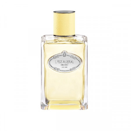 INFUSION DE MIMOSA 100 ML