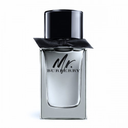 MR. BURBERRY 150ml