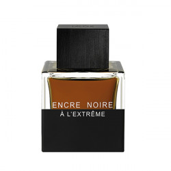 ENCRE NOIRE A L'EXTREME 100ml