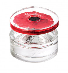 FLOWER IN THE AIR 100ml