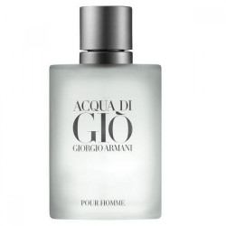 ACQUA DI GIO 100ml