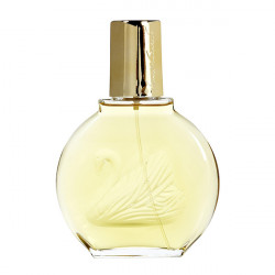 VANDERBILT 100ml