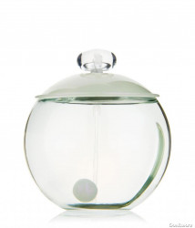 NOA 100ml
