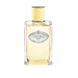 INFUSION DE MIMOSA 100 ML