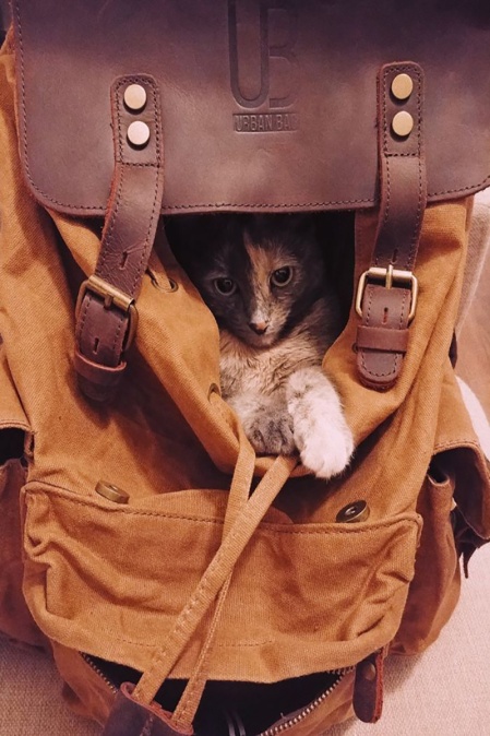 Rucsac din piele naturală și material textil cerat URBAN BAG Mantova – Verde - Img 8