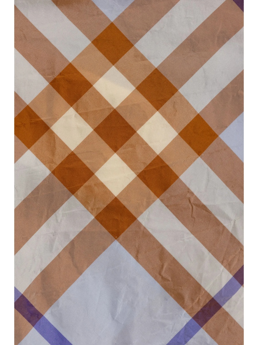 Camasa Burberry albastra - Img 4