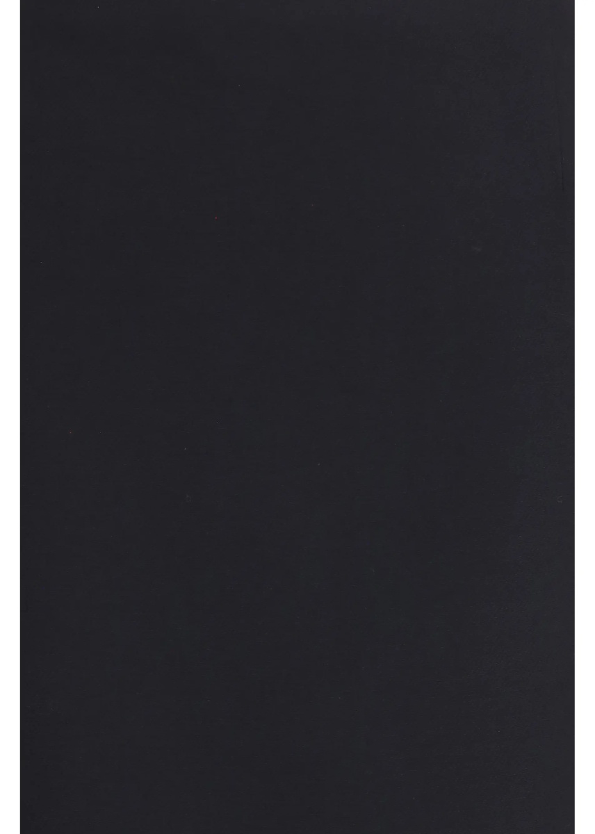 Fusta Wool and silk Skirt - Img 3