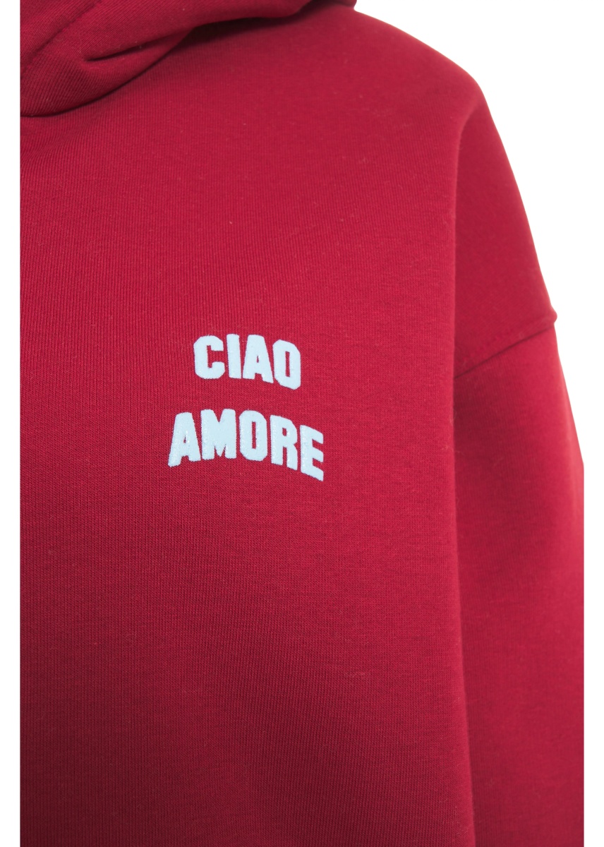 Bluza trening Hoodie with logo lettering - Img 4