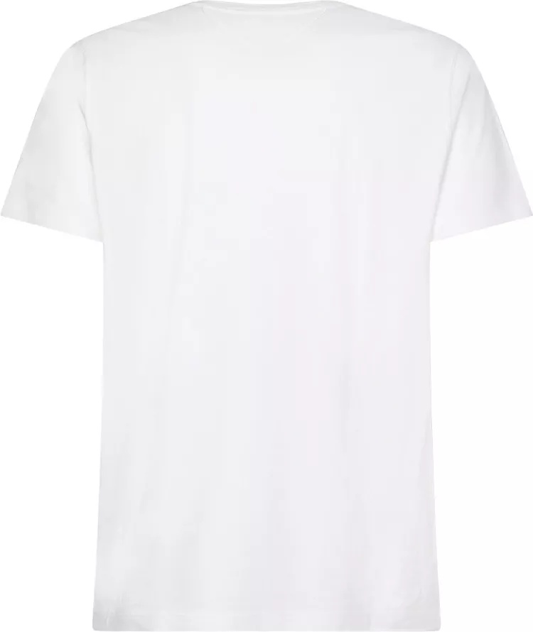 REGULAR T-SHIRT EMBROIDED FLAG - Img 2