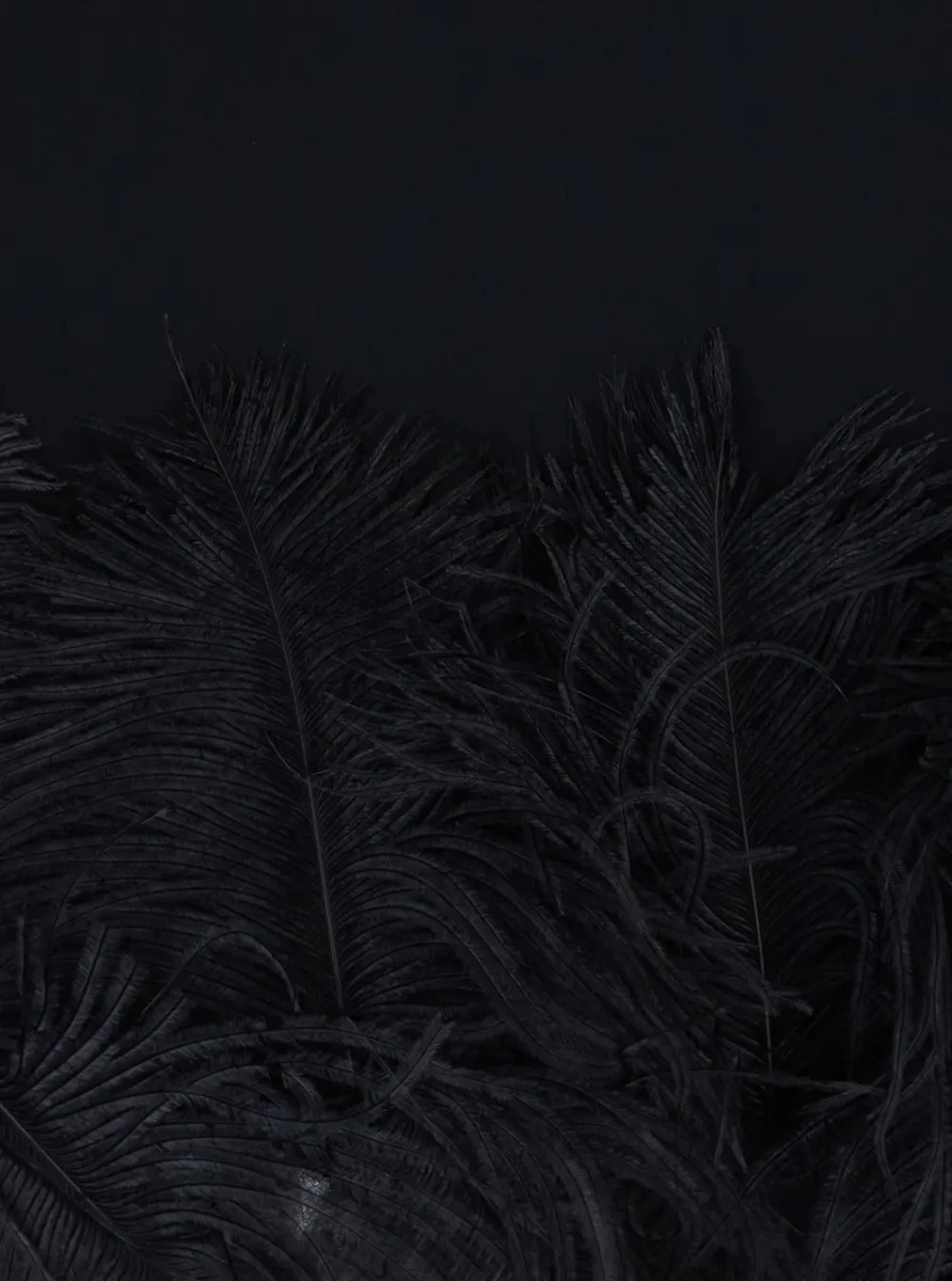 Rochii black Dress with feathers applied on the edges in fabric for women - Img 3