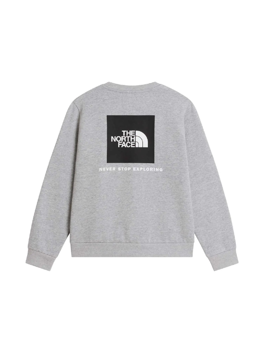 Bluza trening TEEN EVOLUTION BOX NSE CREW TNF Pale Grey Heather - Img 2