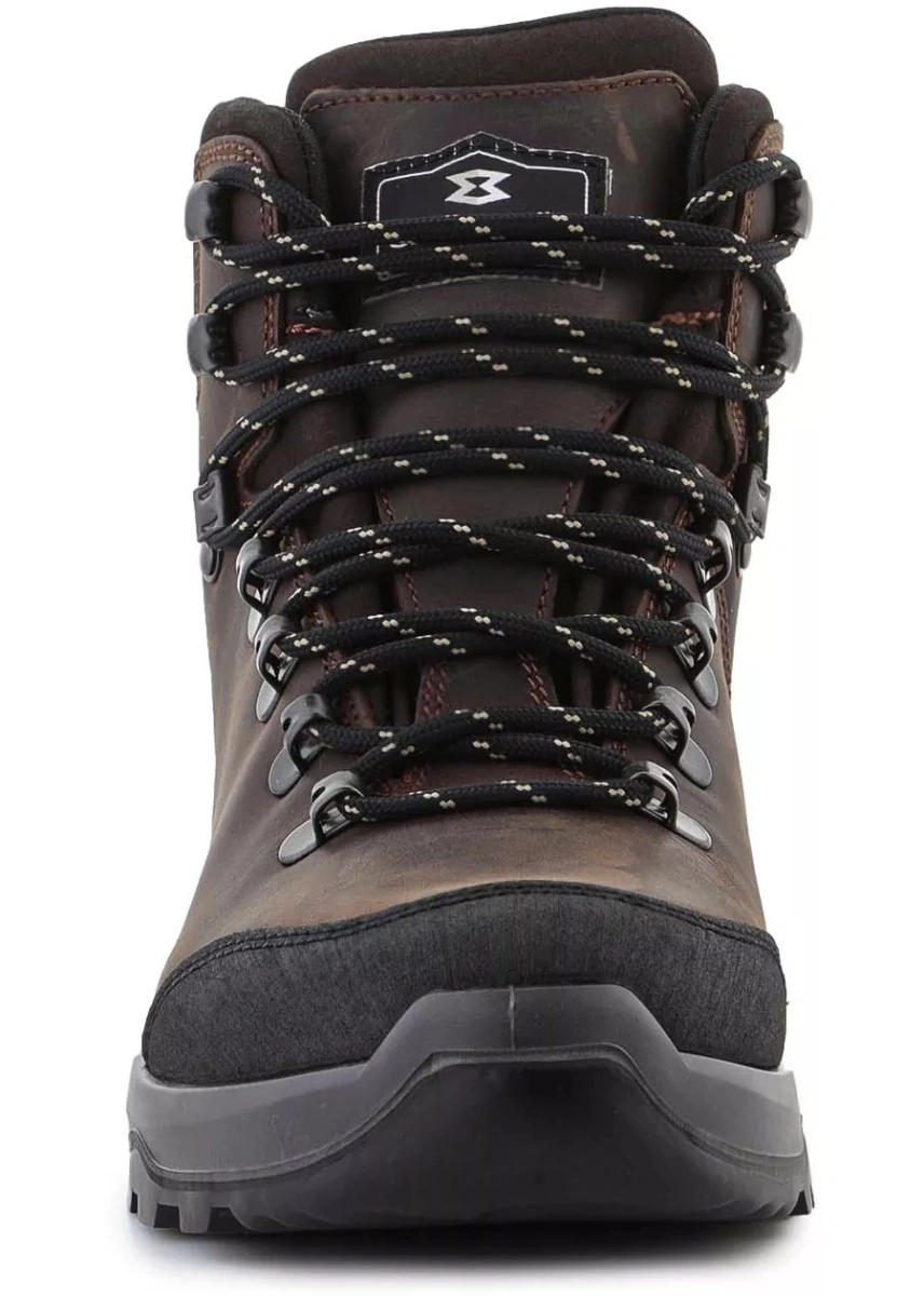 Cizme Syncro Light Plus GTX - brown - Img 3