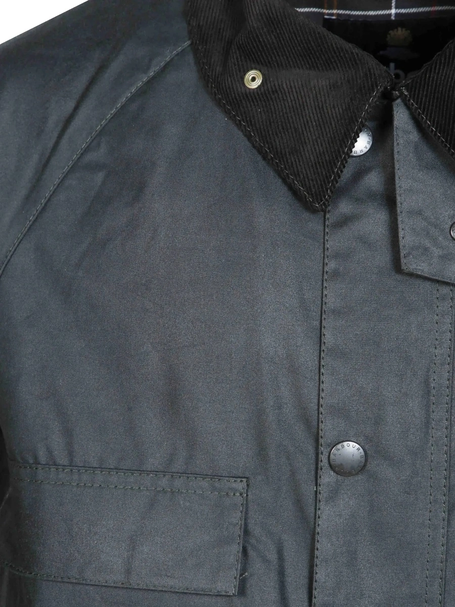 Jacheta Barbour multicolor - Img 5