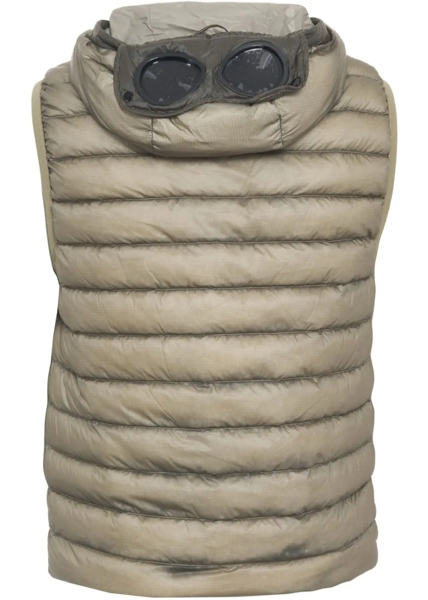 Vesta Gilet with goggles - Img 3