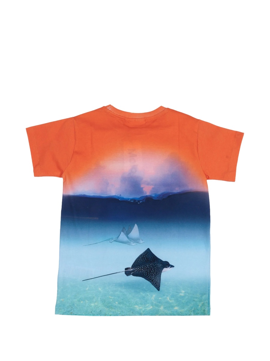 Tricou MOLO albastru - Img 2