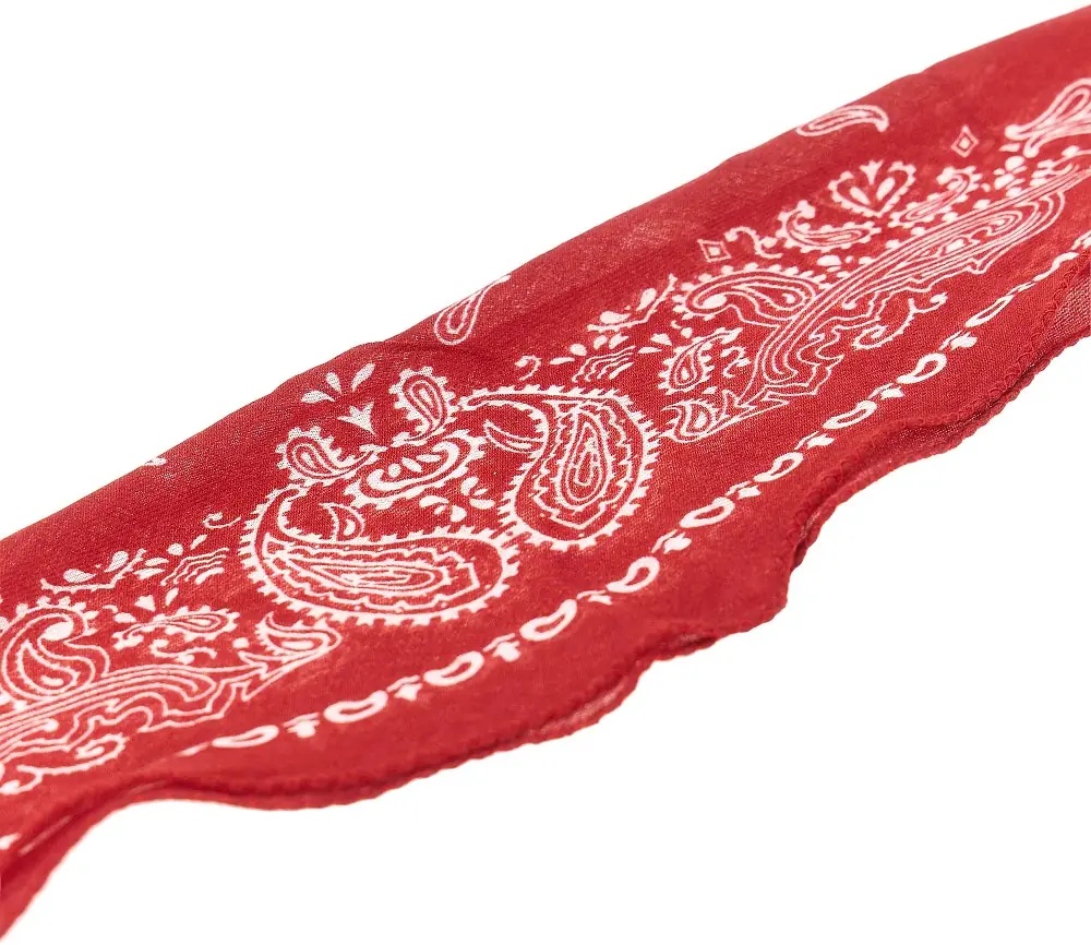 Esarfa Cashmere-blend scarf with Bandana motif - Img 2