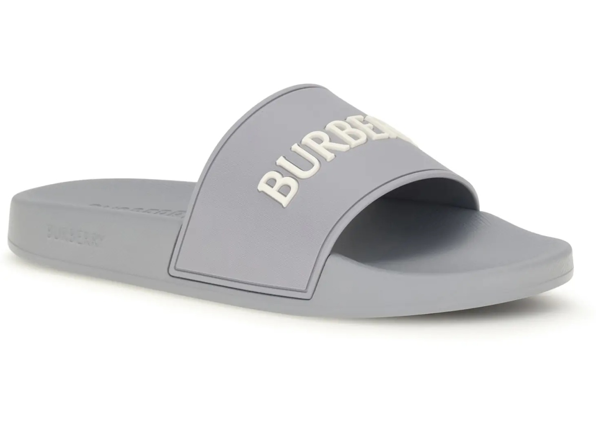 Sandale Logo Slides - Img 2