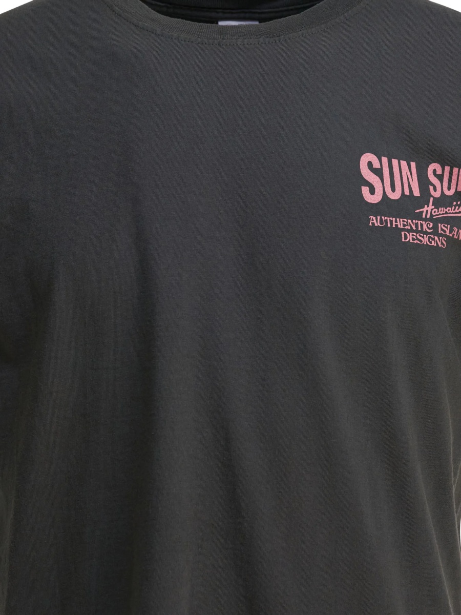 Tricou Sun Surf gri - Img 2