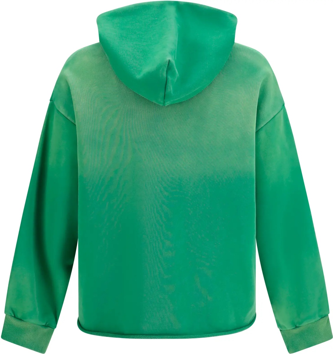 Bluza trening Embroidered Wildlife Hoodie - Img 2