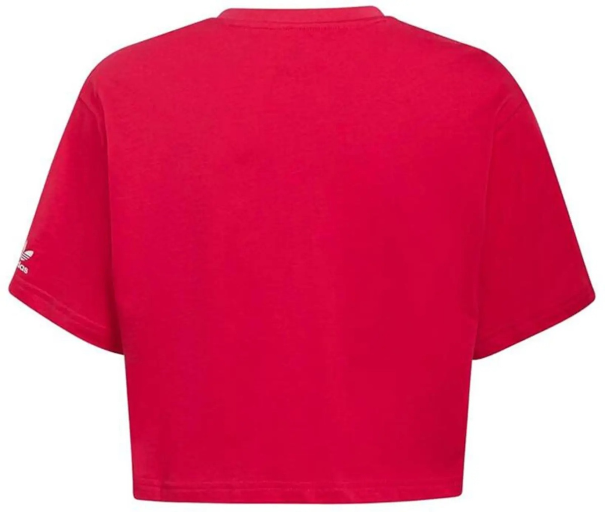 Cropped T-Shirt - Img 2