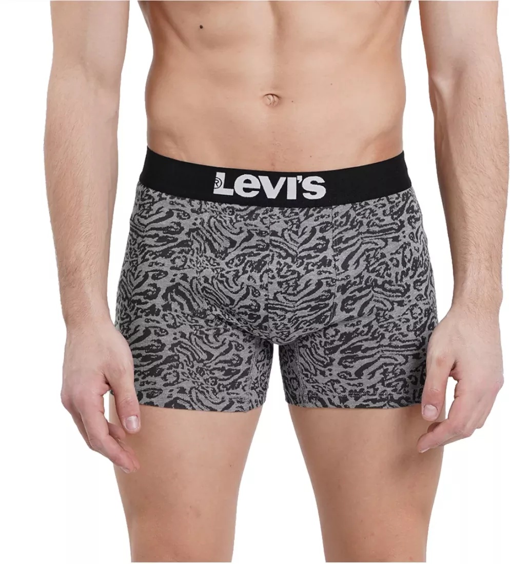 Levi's® Boxer 2 Pairs Briefs - Img 2