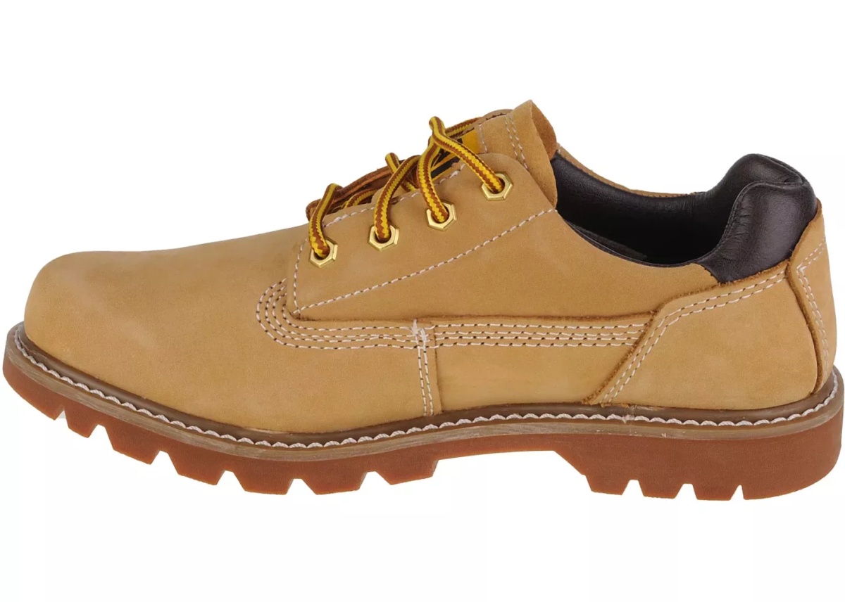 Pantofi Colorado Low 2.0 - Img 2