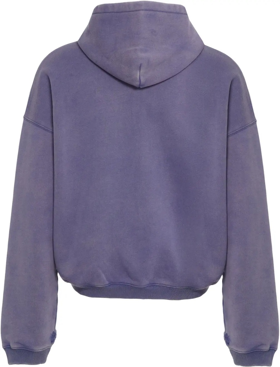 Bluza trening Hoodie with zipper 'Pegasus' - Img 3