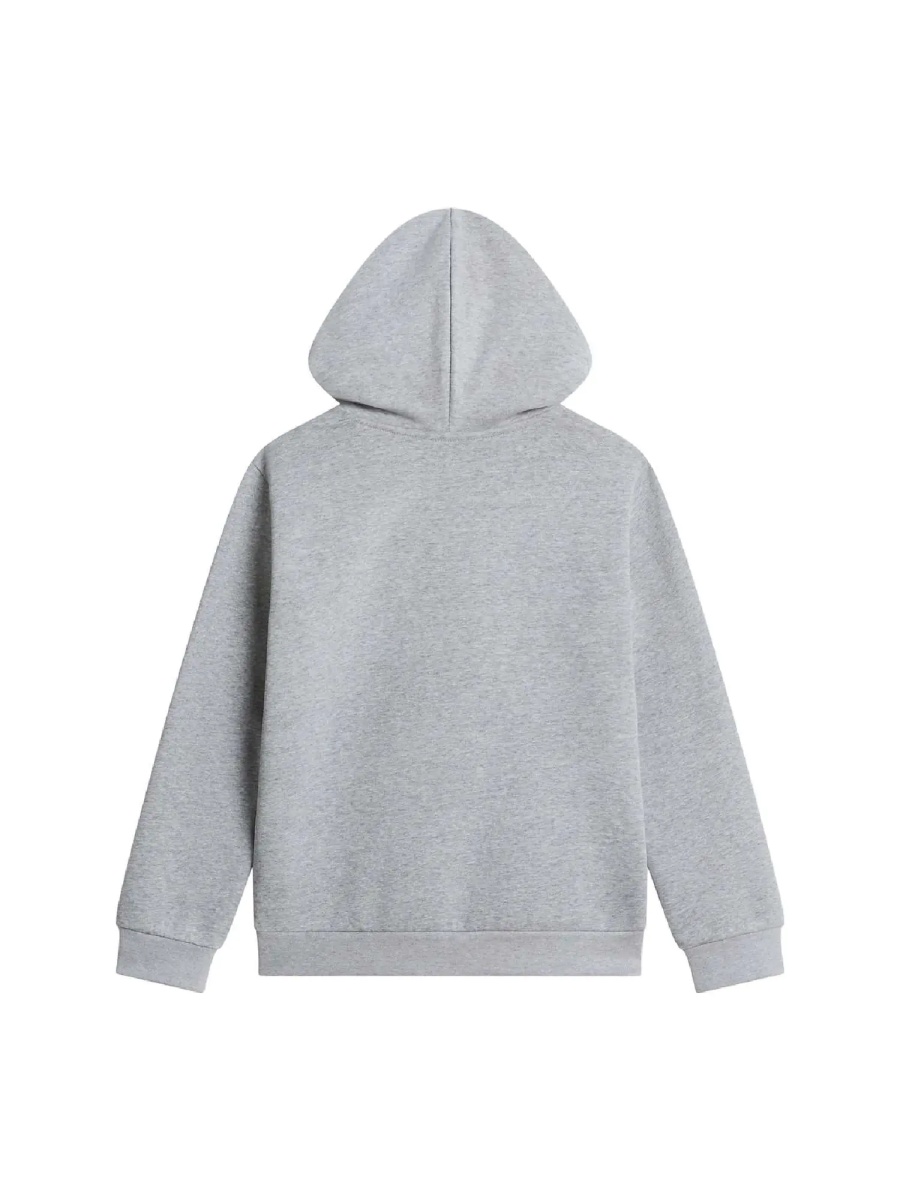 Bluza trening TEEN EVOLUTION SIMPLE DOME PULLOVER HOOD TNF Pale Grey Heather - Img 2