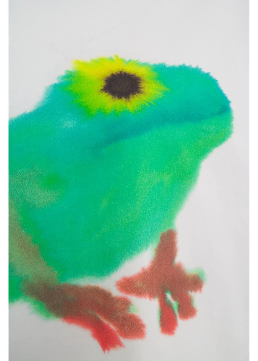 Tricou T-shirt 'Frog' - Img 4