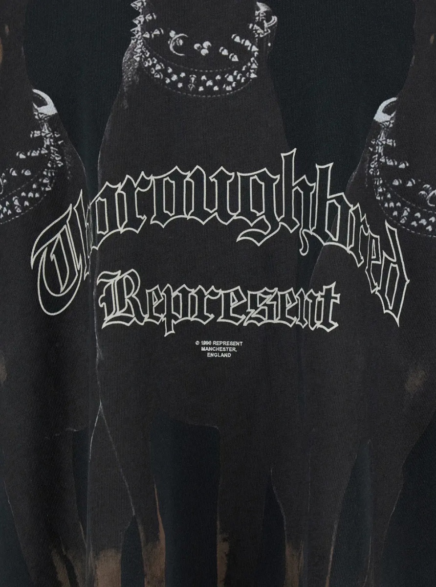 Tricou T-Shirt 'Thoroughbred' with Doberman Graphic Print and Lettering Logo on the Front in Black Cotton for Men - Img 3