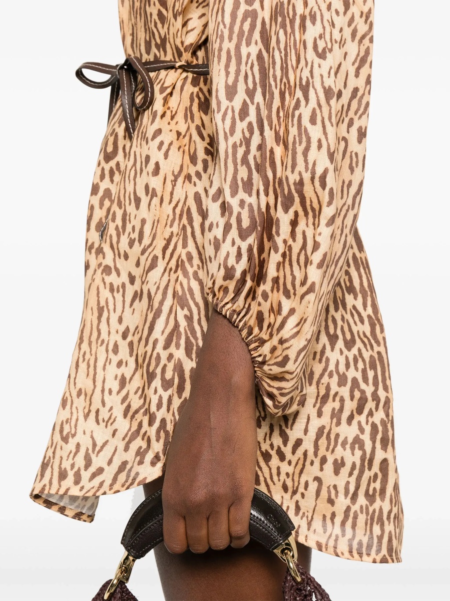 Animal Print Mini Dress - Img 4