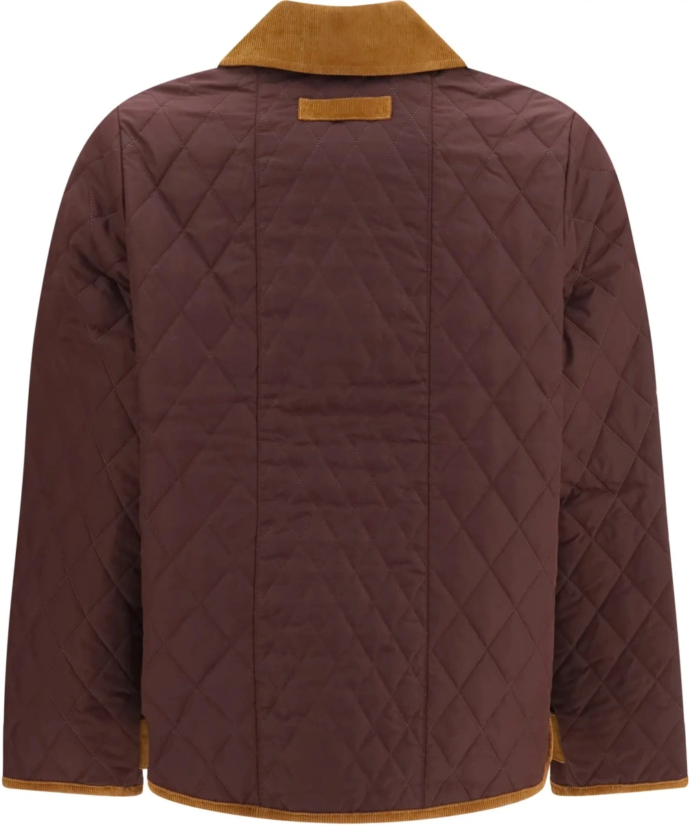 Jacheta Barbour multicolora - Img 2