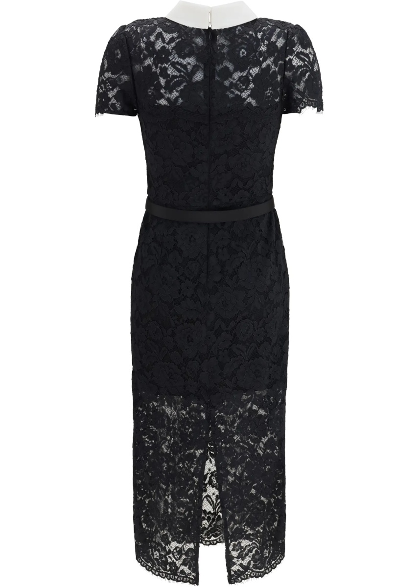 Rochii Lace contrast collar midi Dress - Img 2