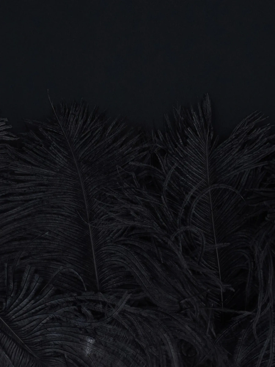 Rochii black Dress with feathers applied on the edges in fabric for women - Img 5