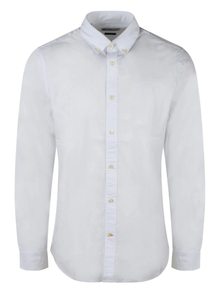 Camasa Barbour alba