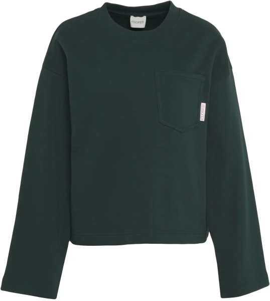 Cardigane Cotton sweatshirt