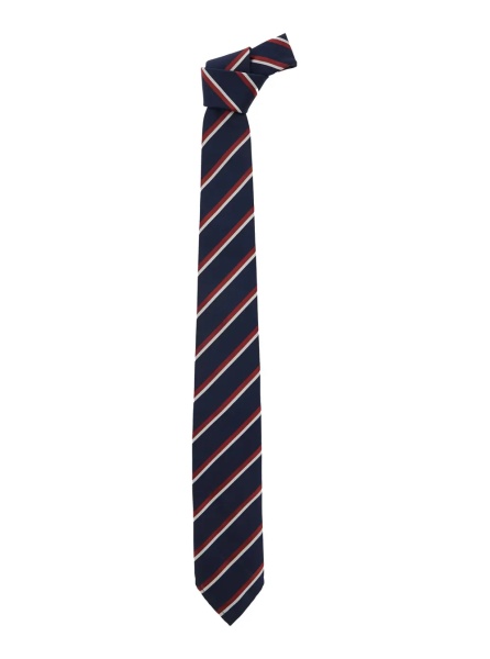 Cravate Blue Tie with All-Over Striped Motif in SIlk for Men
