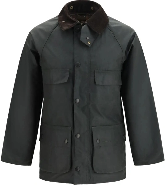 Jacheta Barbour multicolor
