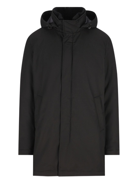 Jacheta Herno neagra