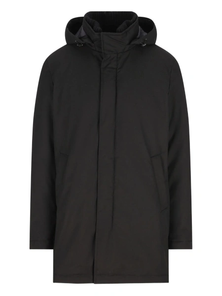Jacheta Herno neagra
