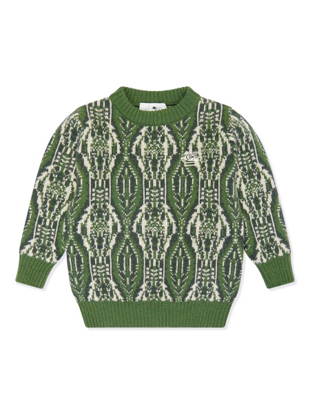Pulover ETRO verde