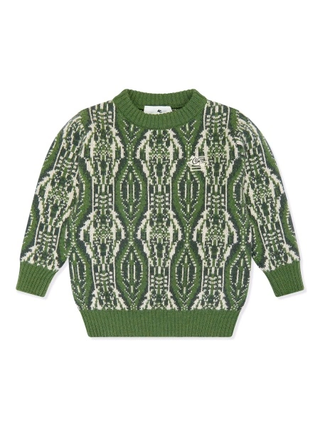 Pulover ETRO verde