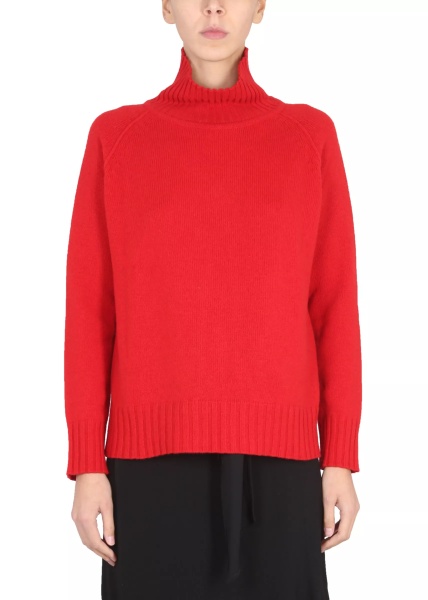 Pulovere Turtleneck Shirt