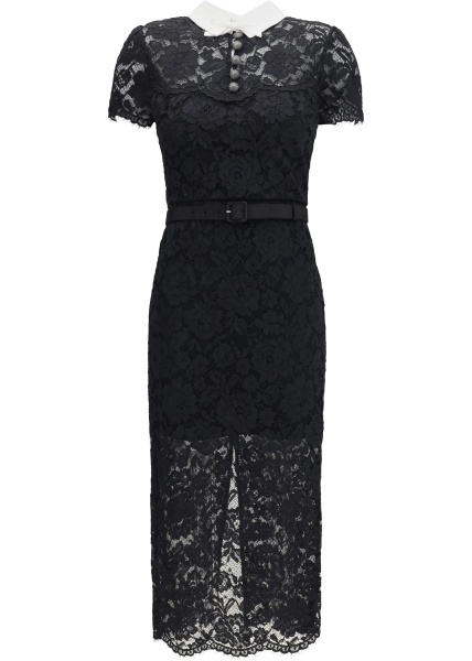 Rochii Lace contrast collar midi Dress