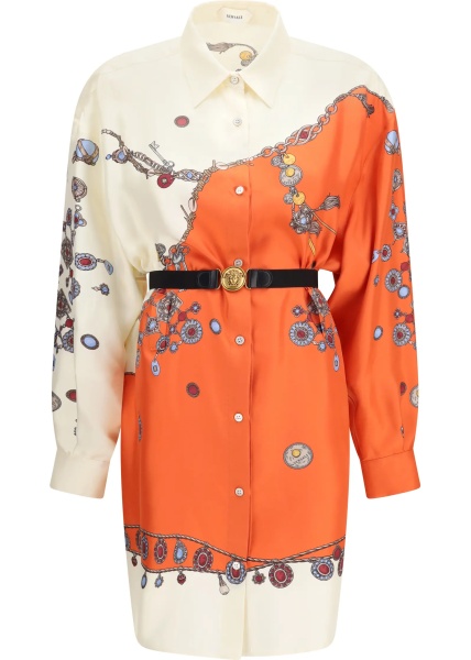 Rochii Printed silk shirt mini Dress