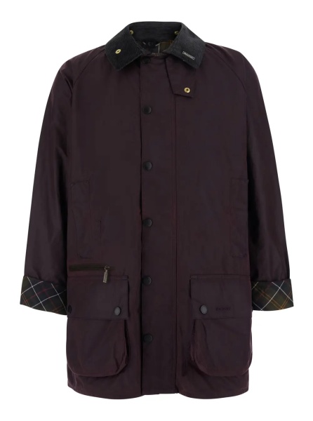 Jacheta 'Beaufort' Bordeaux Jacket with ribbed collar and cuffs with Check motif in cotton for men