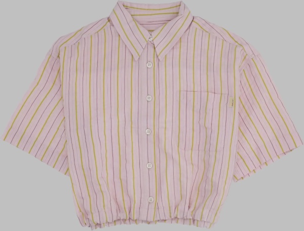 Camasi Cropped Striped Shirt