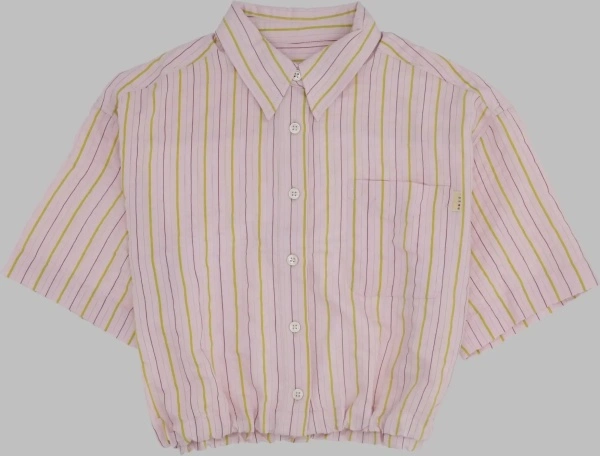 Camasi Cropped Striped Shirt