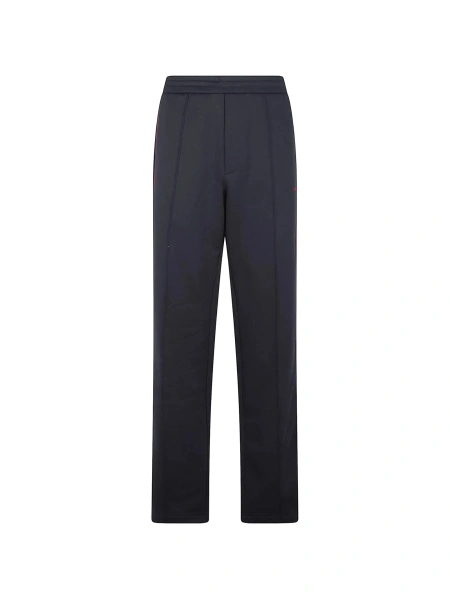 Pantaloni de trening Alexander McQueen albastri